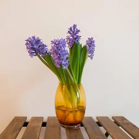 Charming In Center *